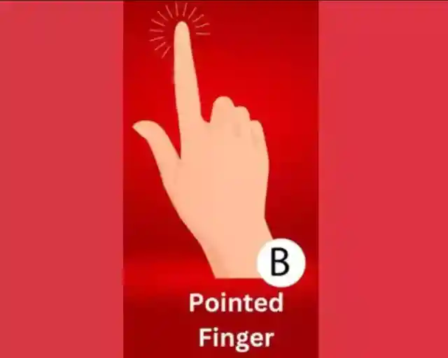Type B: Slender And Tapered