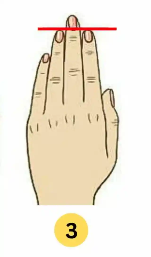 Type C: Equal Index And Ring Finger