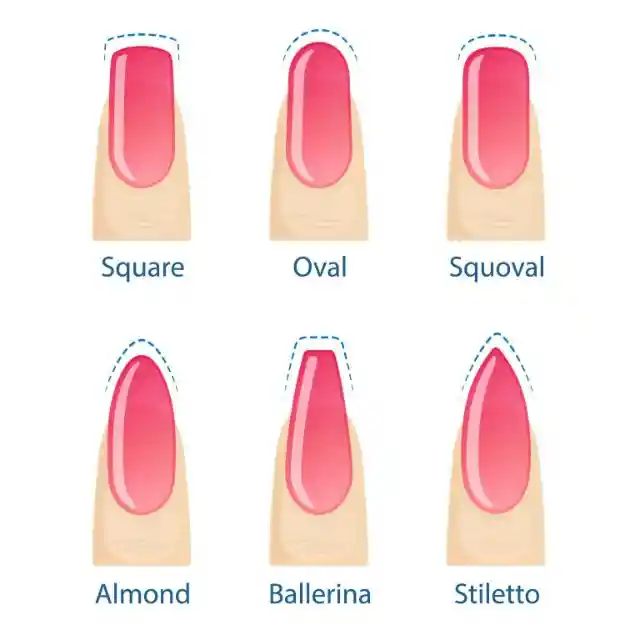 Round or Oval Nails