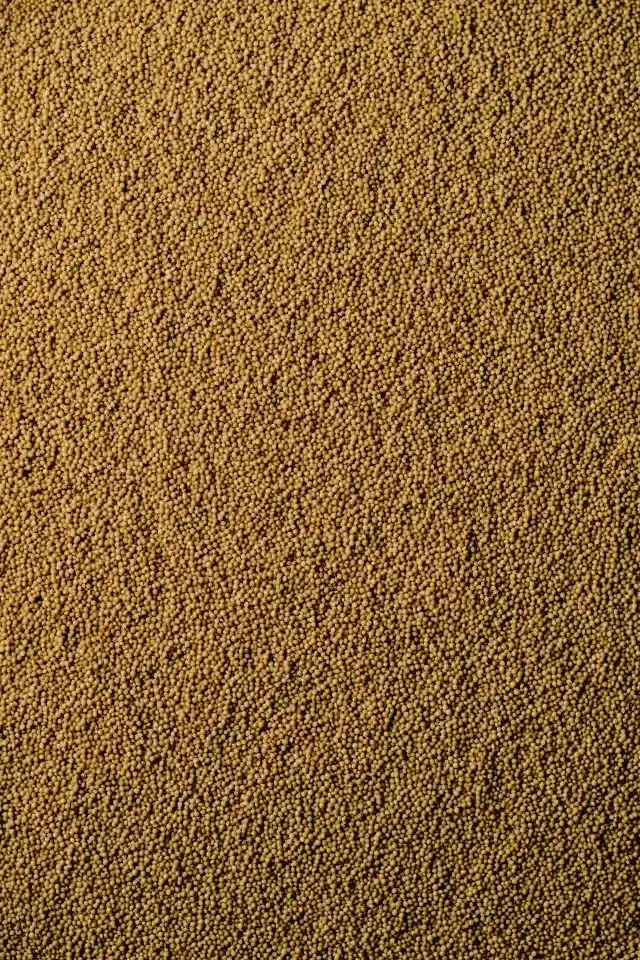Amaranth