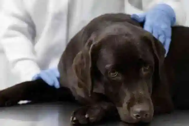 12の小さな奇跡