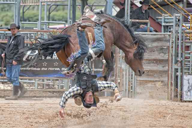 When The Rodeo Decides You're The Show