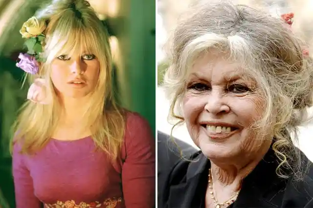 Brigitte Bardot – Bad Mental State