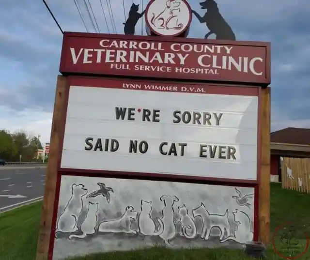 45 Signs To Make Your Pet's Vet Visit Enjoyable For Both Of You