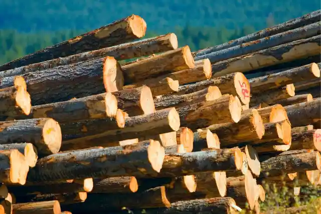 Mysterious Log Pile