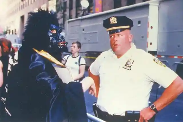 Masked Crusaders in New York