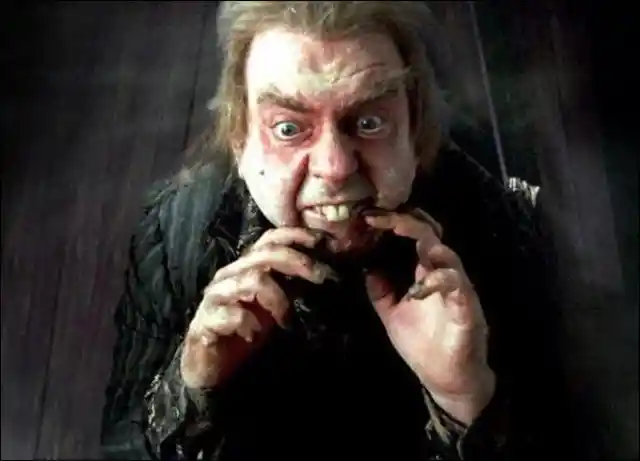 What animal did Peter Pettigrew, the Animagus and wizard, take the form of?