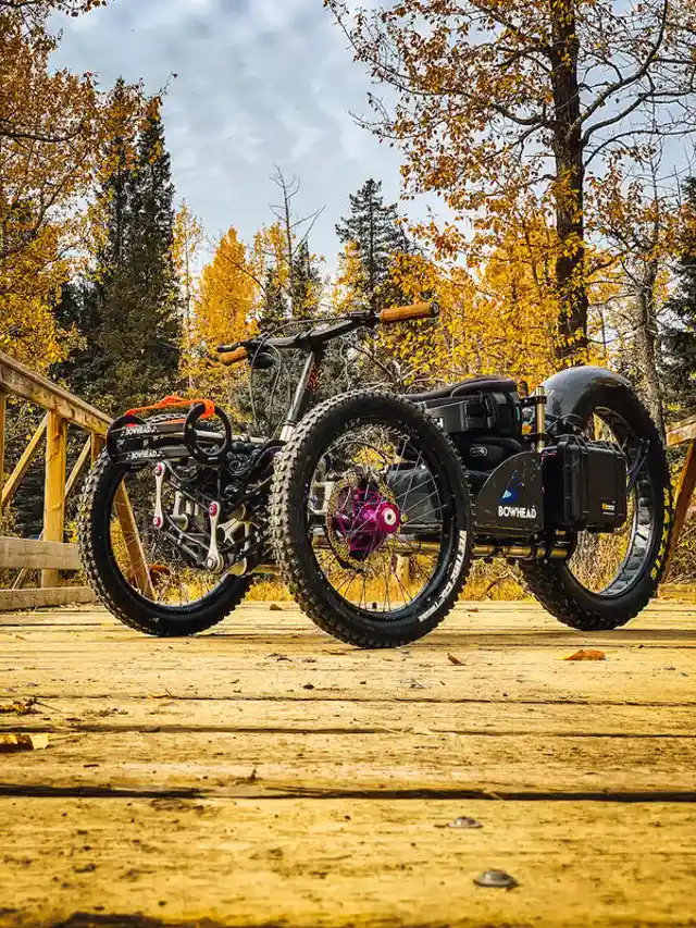 Disabled People Can Ride in the Wild Thanks to This New Mountain Bike