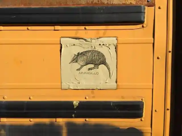 The Memory of the Armadillo Bus