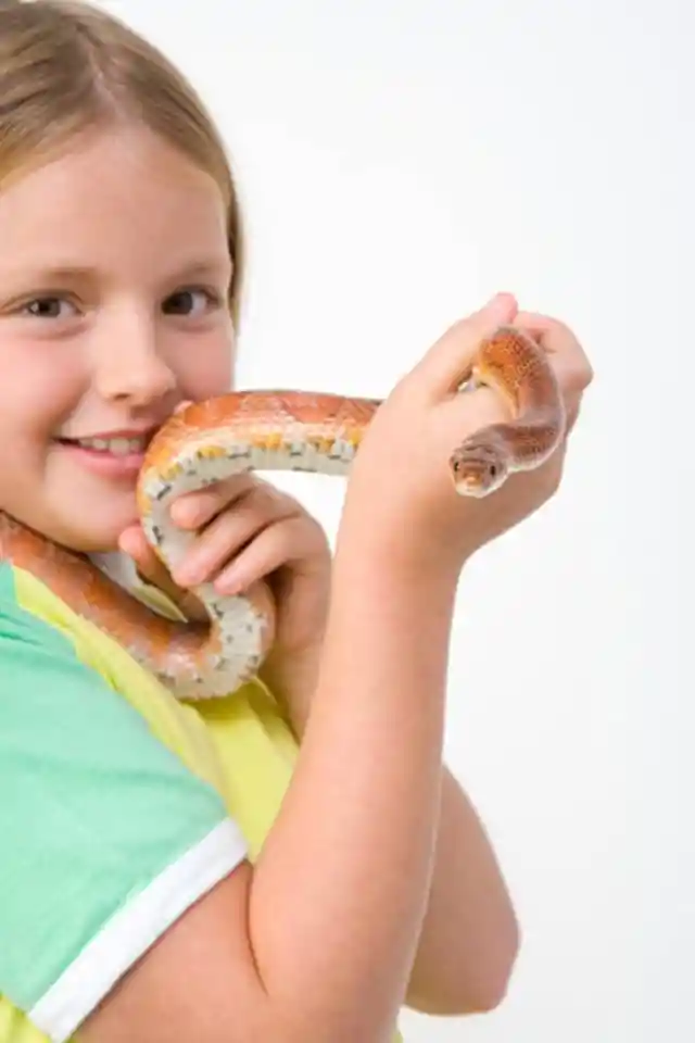 Girl Relies on Pet Snake for Sleep Comfort Until Vet Discovers Something in Its Belly
