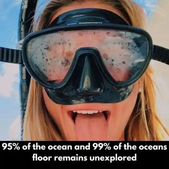 The Ocean's Deepest Depths