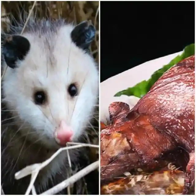 Opossum Steaks