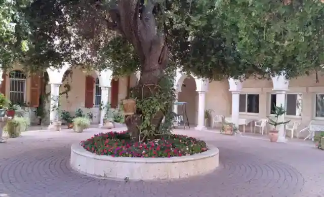 Unfortunate Obstacles