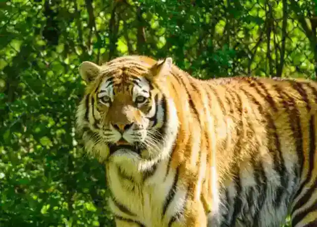 Ich will, dass du schwanger wirst