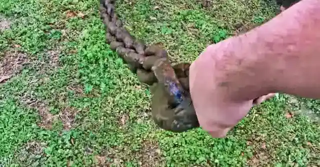 Digging Through The Dirt