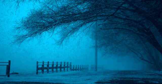 Mystery in the Whispering Woods