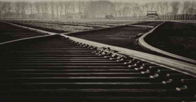 Mysterious Tracks: A Heart-Pounding Trail of Discovery