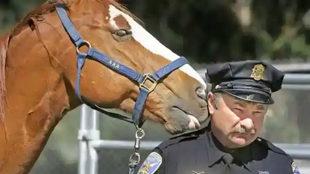 Questioned By Police