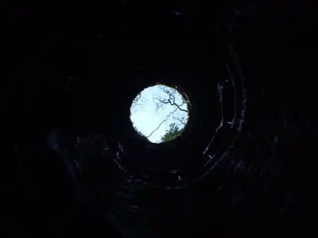 In Too Deep