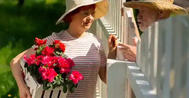 A Community Portrait