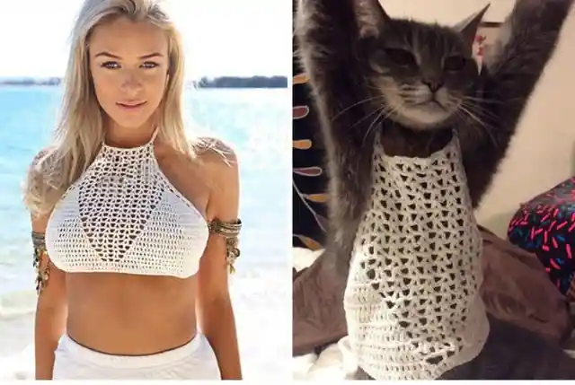 Crochet Catt