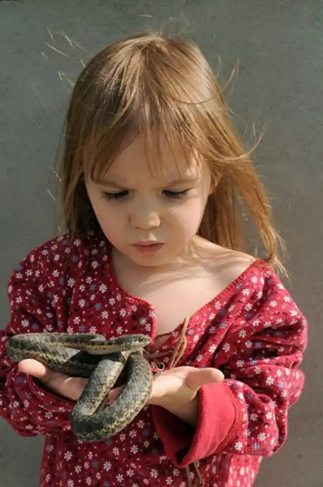 Reptile Trainers