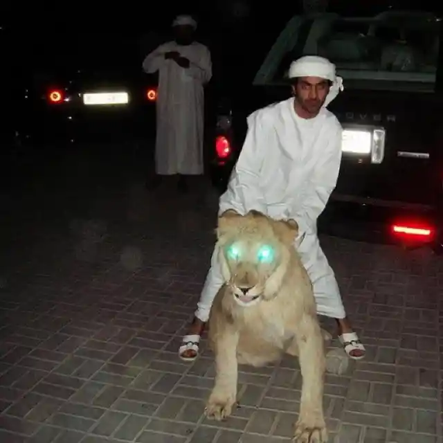 The Rich Life Of The Gulf States