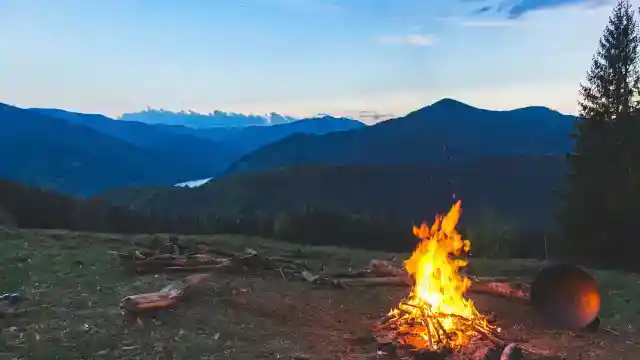 He Was Living In The Woods
