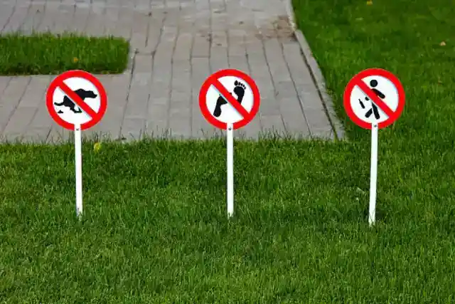 Sunny Monday Morning