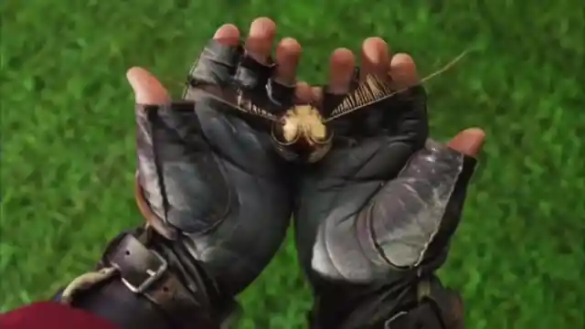 How did Harry catch his first Golden Snitch? 