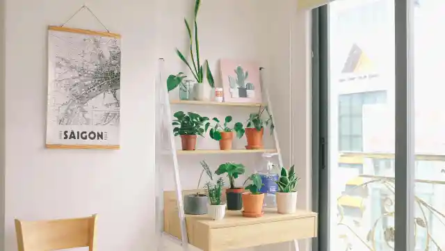 Plant Overload