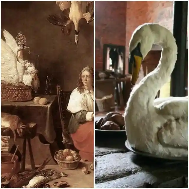 Swan Meat