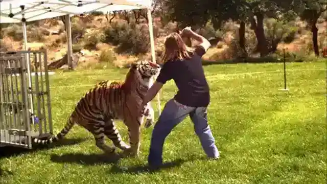 カーリーとの遊び時間