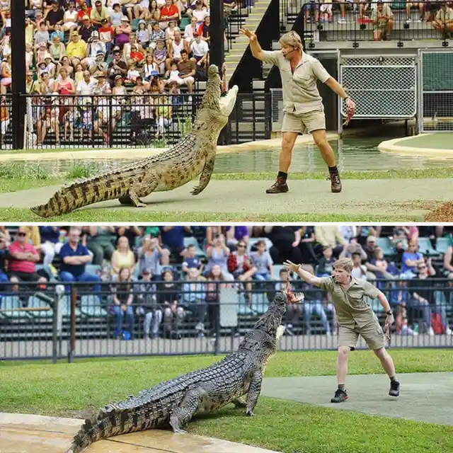 15 Years Between Crocs