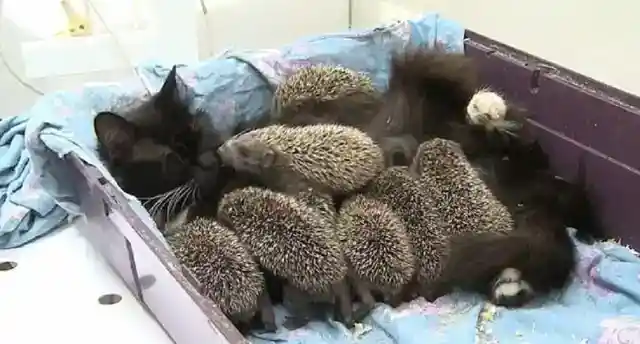 Getting a Box