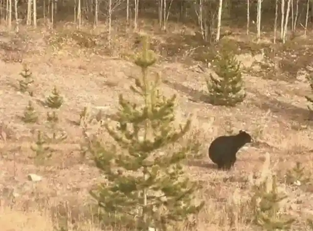 Nature Calls, Even in Nature