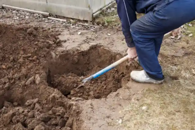 A Lot Of Hard Work 