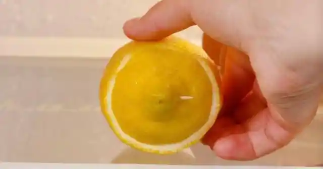 Prolong Your Lemon’s Life