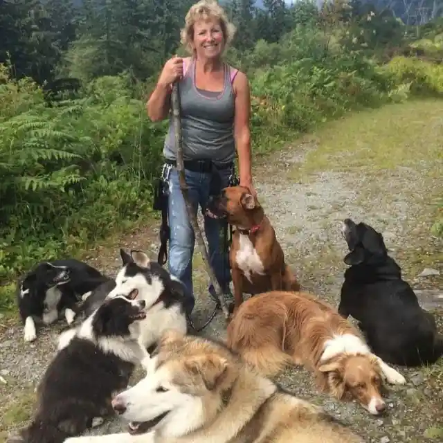 Annette and Her Three Dogs: A Story of Their Unbelievable Disappearance