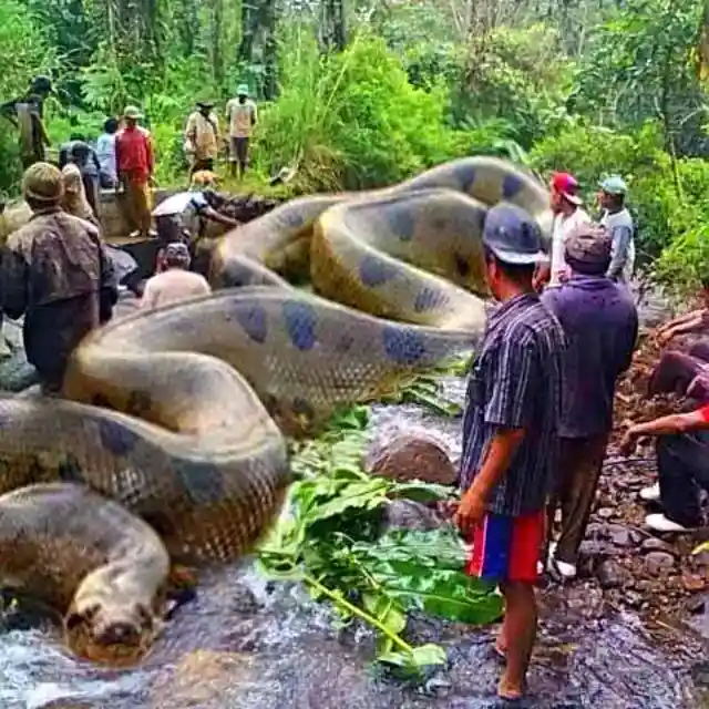 The Hardest Challenge Of His Career