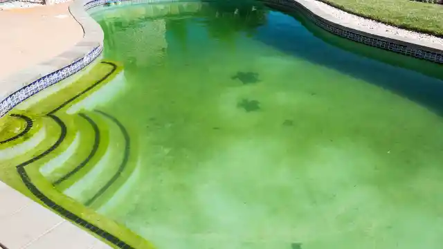 Neglected Pool