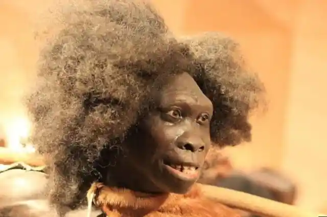 Belonging To Two Species