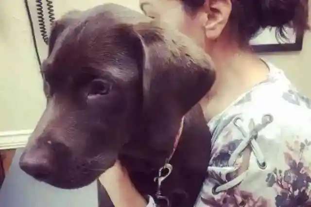 ローラはすぐに彼らのサポートを必要としていました