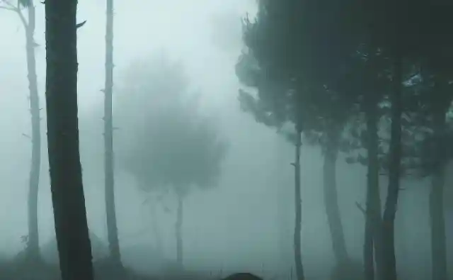 The Clearing