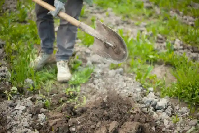 Digging Deeper 