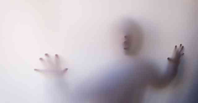 Unraveling the Enigma: A Trail of Suspicion and Abandoned Puppies