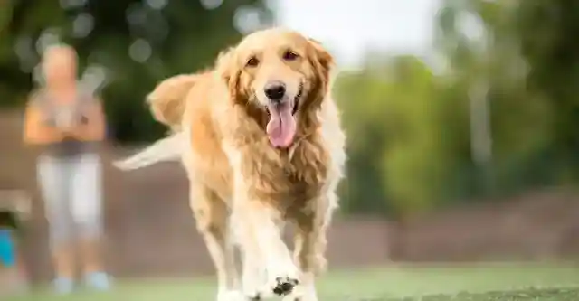 Meet the Turner Family