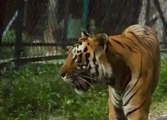 ゆっくりと近づく