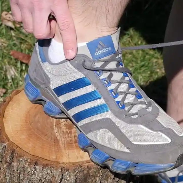 Run Forest Run