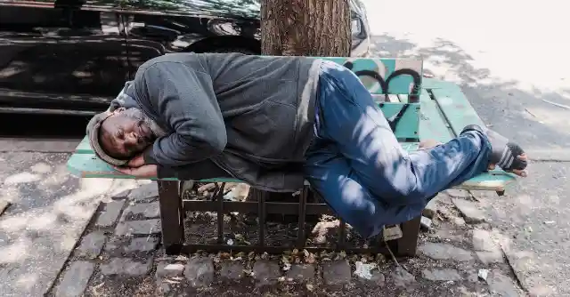 La Dueña De La Tienda